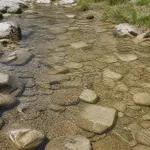 Az / biraz / sığ su image