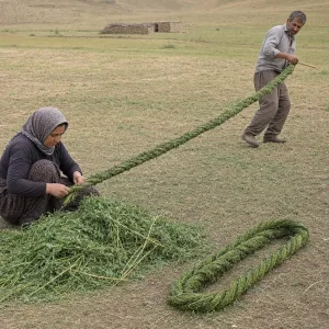 Yonca burması